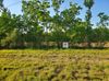 5150 Castlebrook St photo